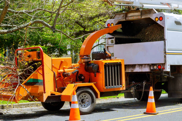 Best Tree Mulching  in Oak Ridge, NJ